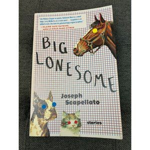 Big Lonesome by Joseph Scapellato Paperback Book